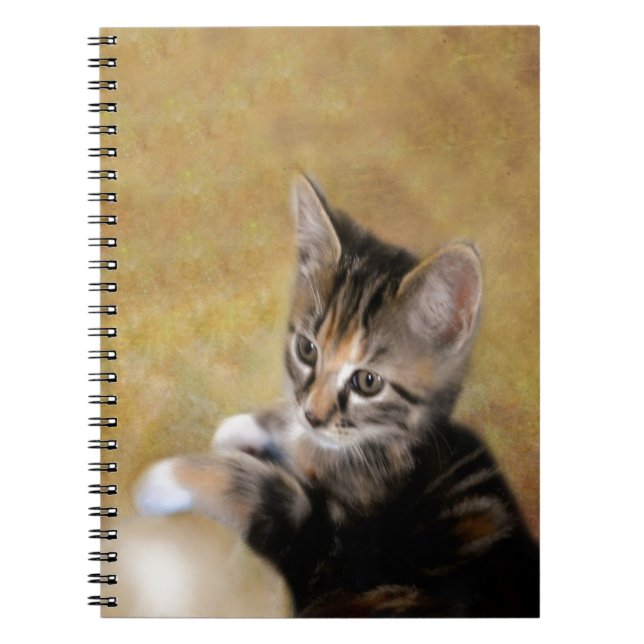 Meet Tiger Notebook (Front)