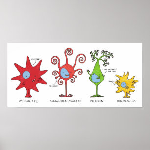 Meet your brain cells  WIDE Poster