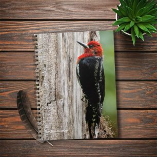 Meeting a Red-Breasted Sapsucker Notebook