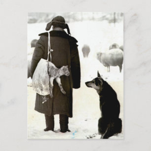Meeting of animals in the snow postcard