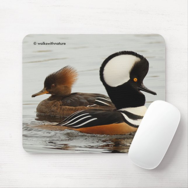 Meeting of Hooded Merganser Ducks Mouse Mat (With Mouse)