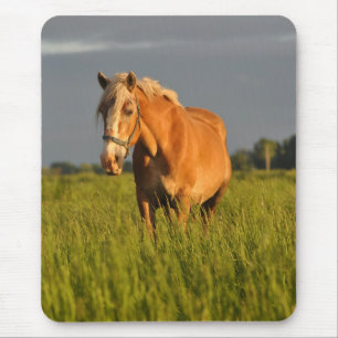 Meg in the Pasture Mouse Mat