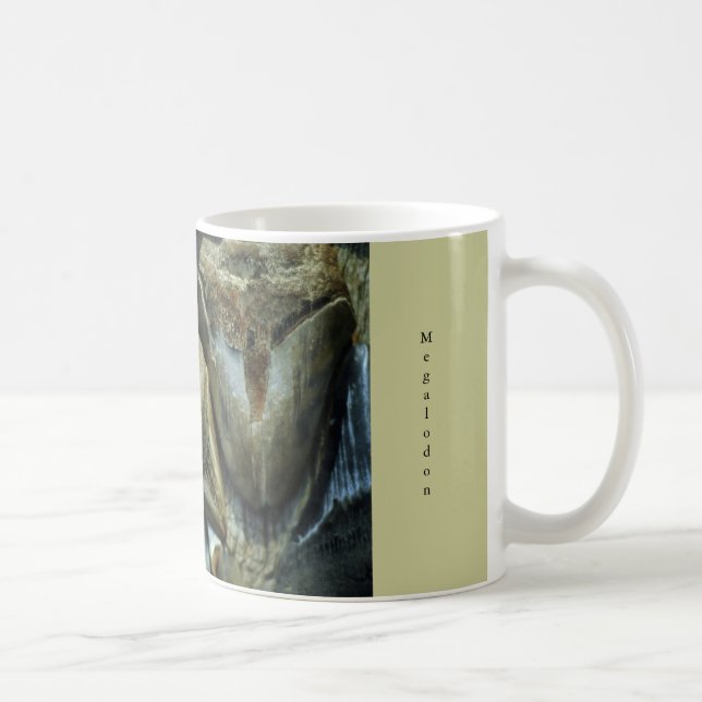 Megalodon Fossil Shark Teeth Mug (Right)
