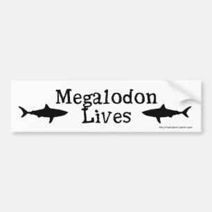 Megalodon Lives!  Bumper sticker