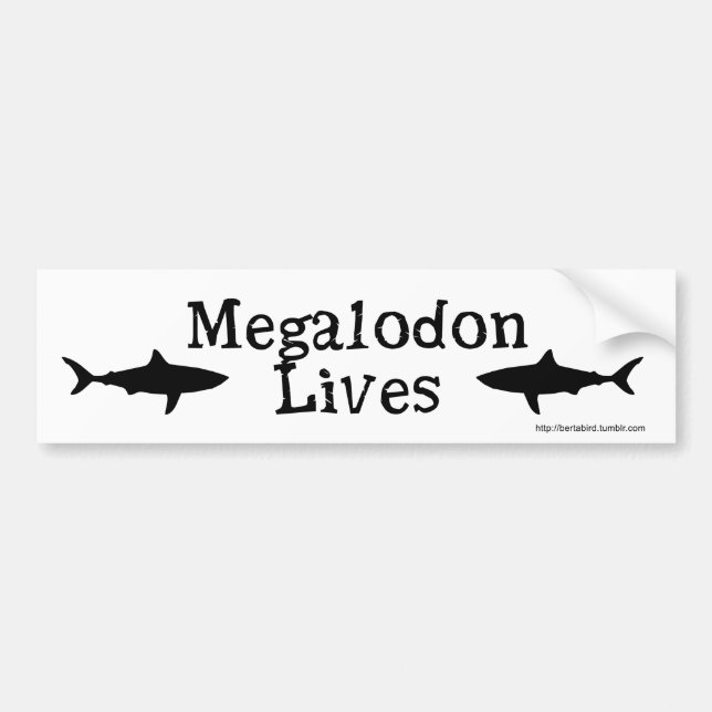 Megalodon Lives!  Bumper sticker (Front)