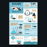 Megalodon Shark - Killer Facts! 24x36" Poster<br><div class="desc">An awe inspiring and scientifically accurate infographic poster on the most fearsome predator to ever inhabit Earth's oceans,  the 60 foot long Megalodon Shark. It presents information about this prehistoric sharks,  size,  teeth,  diet,  evolution and extinction in an engaging and easy to understand format.</div>