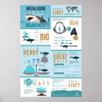 Megalodon Shark - Killer Facts! 24x36"