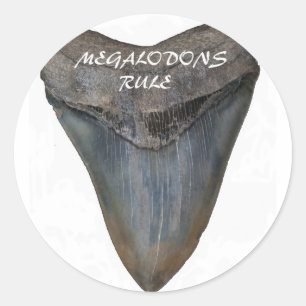 Megalodon Shark Tooth Classic Round Sticker