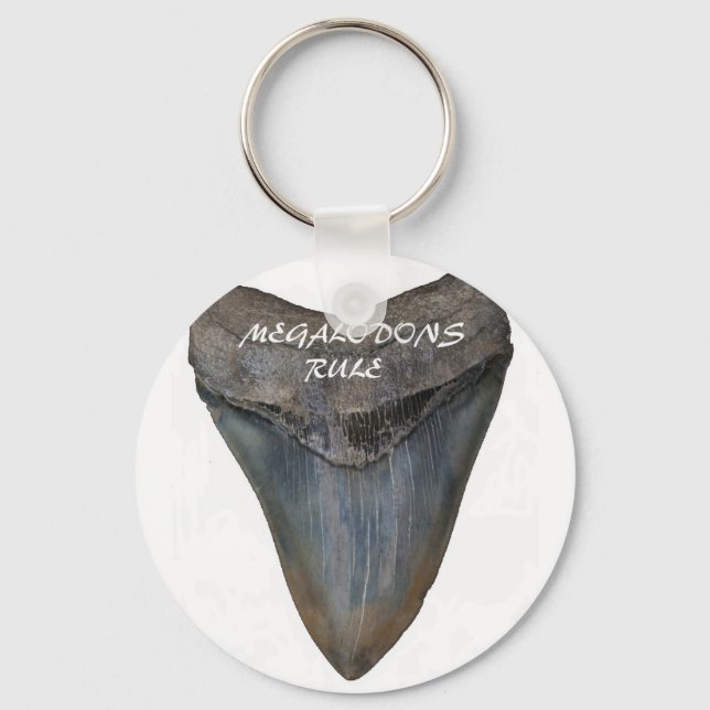 Megalodon Shark Tooth Key Ring (Front)