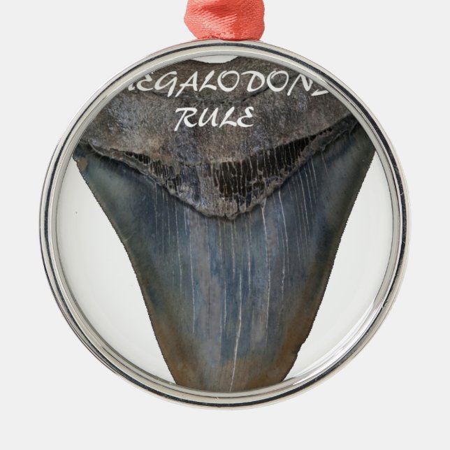 Megalodon Shark Tooth Metal Tree Decoration (Front)