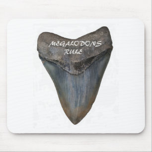 Megalodon Shark Tooth Mouse Mat