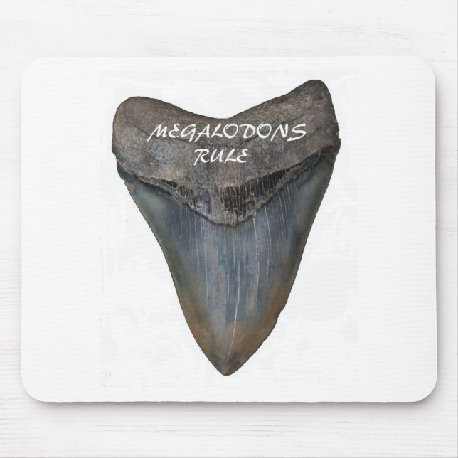 Megalodon Shark Tooth Mouse Mat (Front)