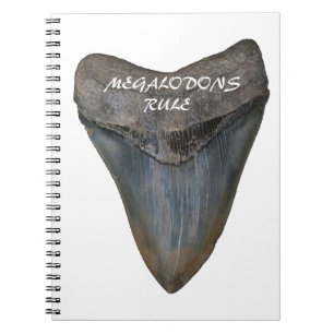 Megalodon Shark Tooth Notebook