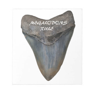 Megalodon Shark Tooth Notepad
