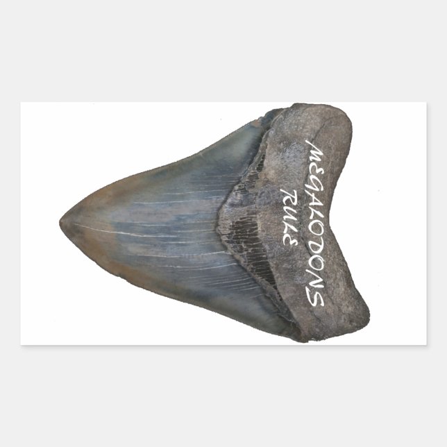 Megalodon Shark Tooth Rectangular Sticker (Front)