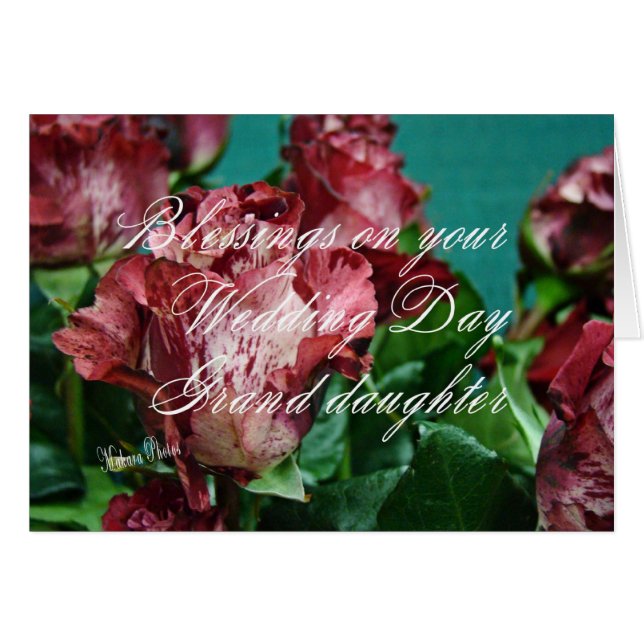 Megan's Roses  WD 11 grd-zz (Front Horizontal)