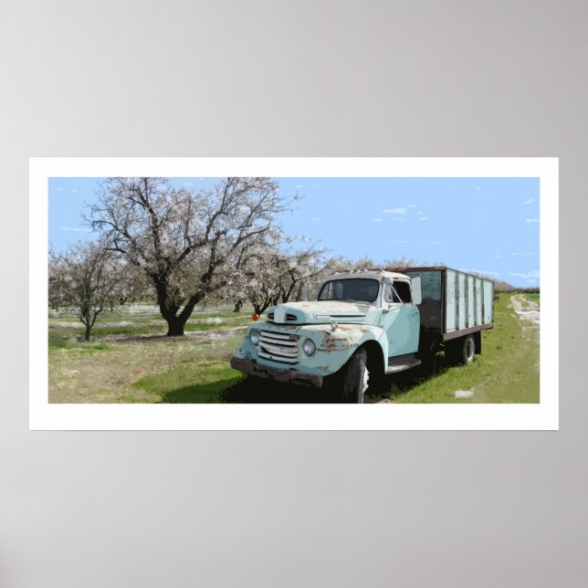 Megan's Truck in Almond blossoms Poster (Front)