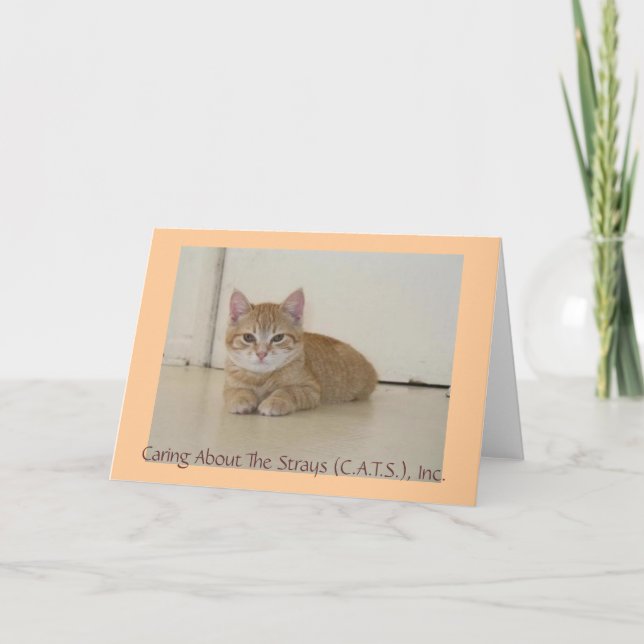 Meggie Notecards (Front)