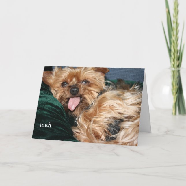 "meh - doan wanna" Greeting Card (Front)