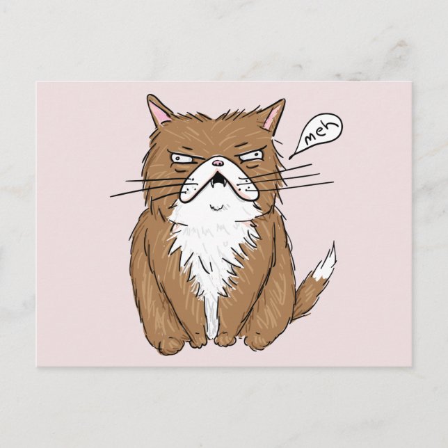 Meh Funny Grumpy Cat Drawing Postcard (Front)