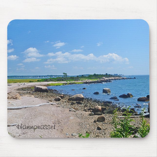 Meigs Point Mousepad (Front)