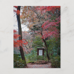 Meiji-Jingu Shrine Inner Garden Postcard