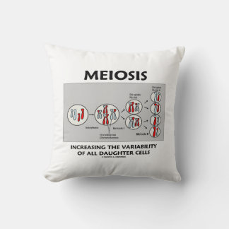 Meiosis Increasing Variability All Daughter Cells Cushion