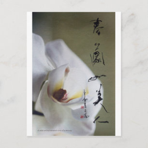 meitokai postcard 4