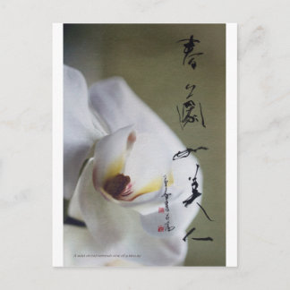 meitokai postcard 4