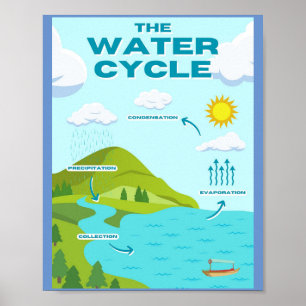 MEKIMI-The Water Cycle Educational Poster 