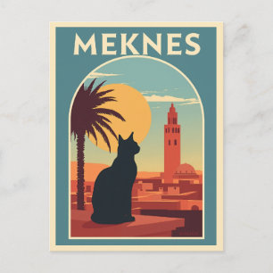 Meknes Morocco Sunset Cat Postcard
