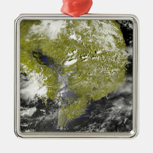 Mekong Delta and the Tonle Sap Metal Tree Decoration (Front)