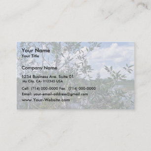 Melaleuca in swamp area business card
