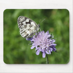 Melanargia galathea mouse mat