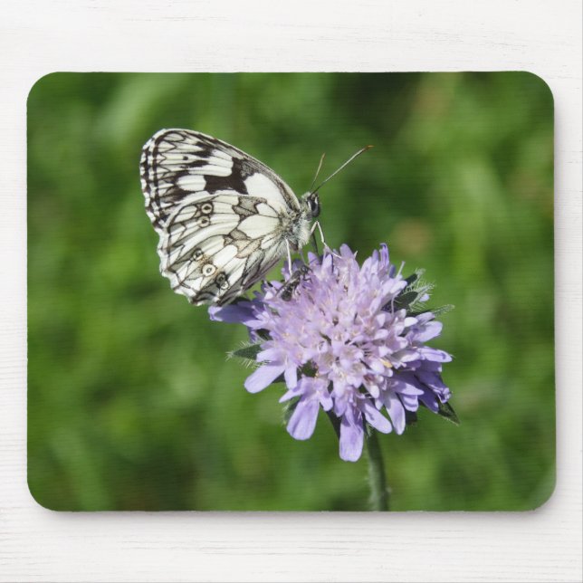 Melanargia galathea mouse mat (Front)