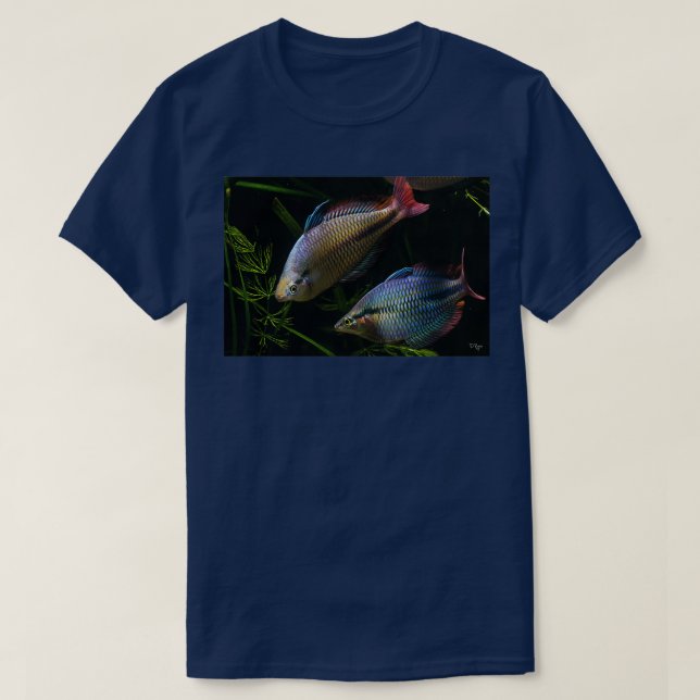 Melanotaenia trifasciata Cato River T-Shirt (Design Front)