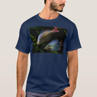 Melanotaenia trifasciata Cato River T-Shirt