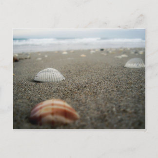 Melbourne beach, Florida Postcard
