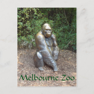 Melbourne Zoo Gorilla Postcard