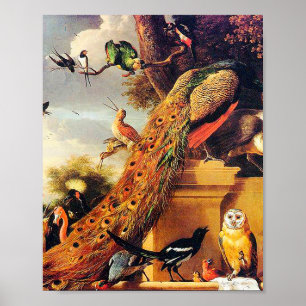 Melchior d'Hondecoeter - Birds in a Park Poster