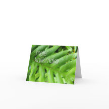 Mele Kalikimaka Holiday Merry Christmas Card