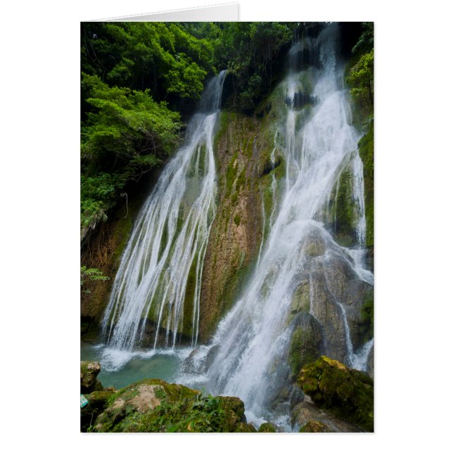 Mele-Maat Waterfall In Jungle (Front)