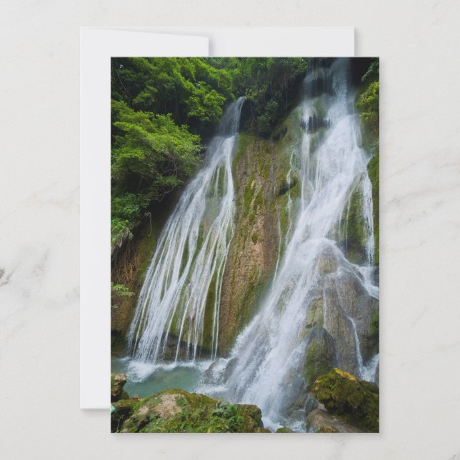 Mele-Maat Waterfall In Jungle Thank You Card (Front)