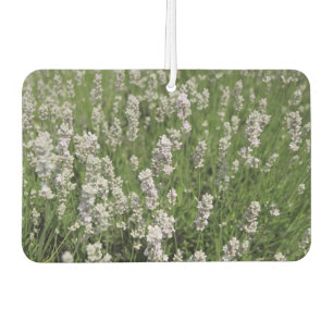 Melissa Lavender Car Air Freshener