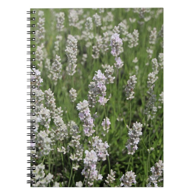 Melissa Lavender Notebook (Front)