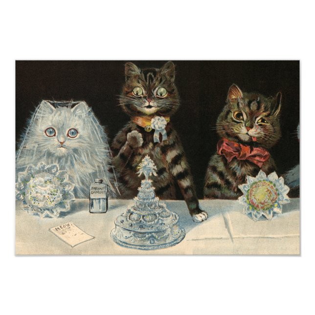 Mellin's Food Biscuits by Louis Wain Photo Print (Front)
