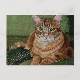 Mellow Yellow Postcard