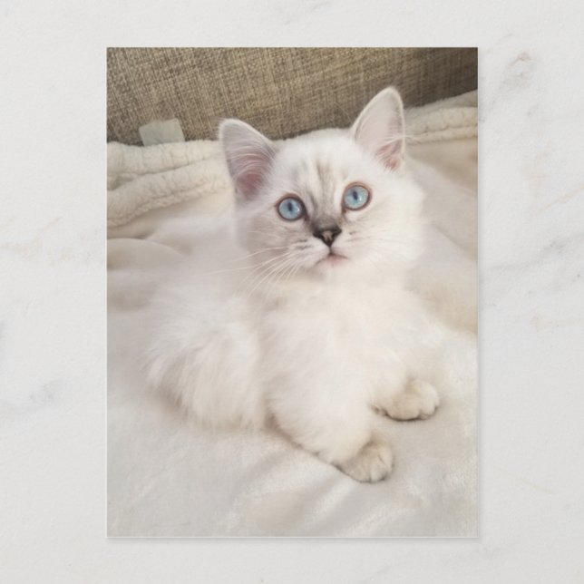 Melody Postcard (Front)