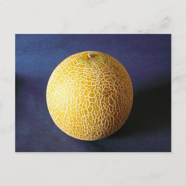Melon / Cantaloupe Postcard (Front)