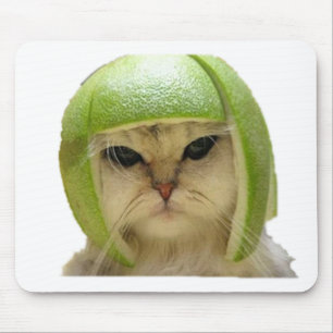 melon cat mouse mat